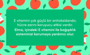 e vitamini faydaları